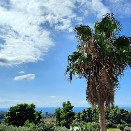 הוילה אייה פרסקבי House With View מראה חיצוני תמונה