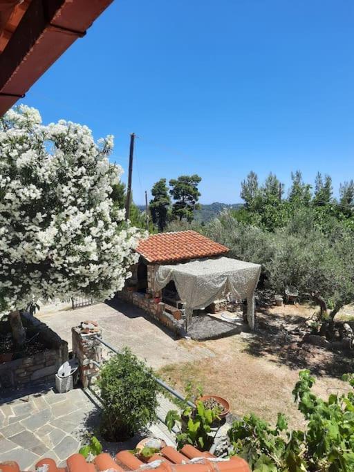 הוילה אייה פרסקבי House With View מראה חיצוני תמונה